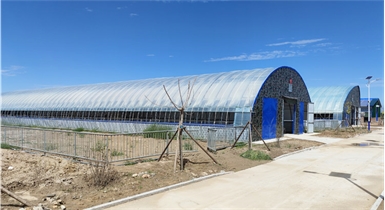 準格爾旗現(xiàn)代化肉羊設施養(yǎng)殖標桿場