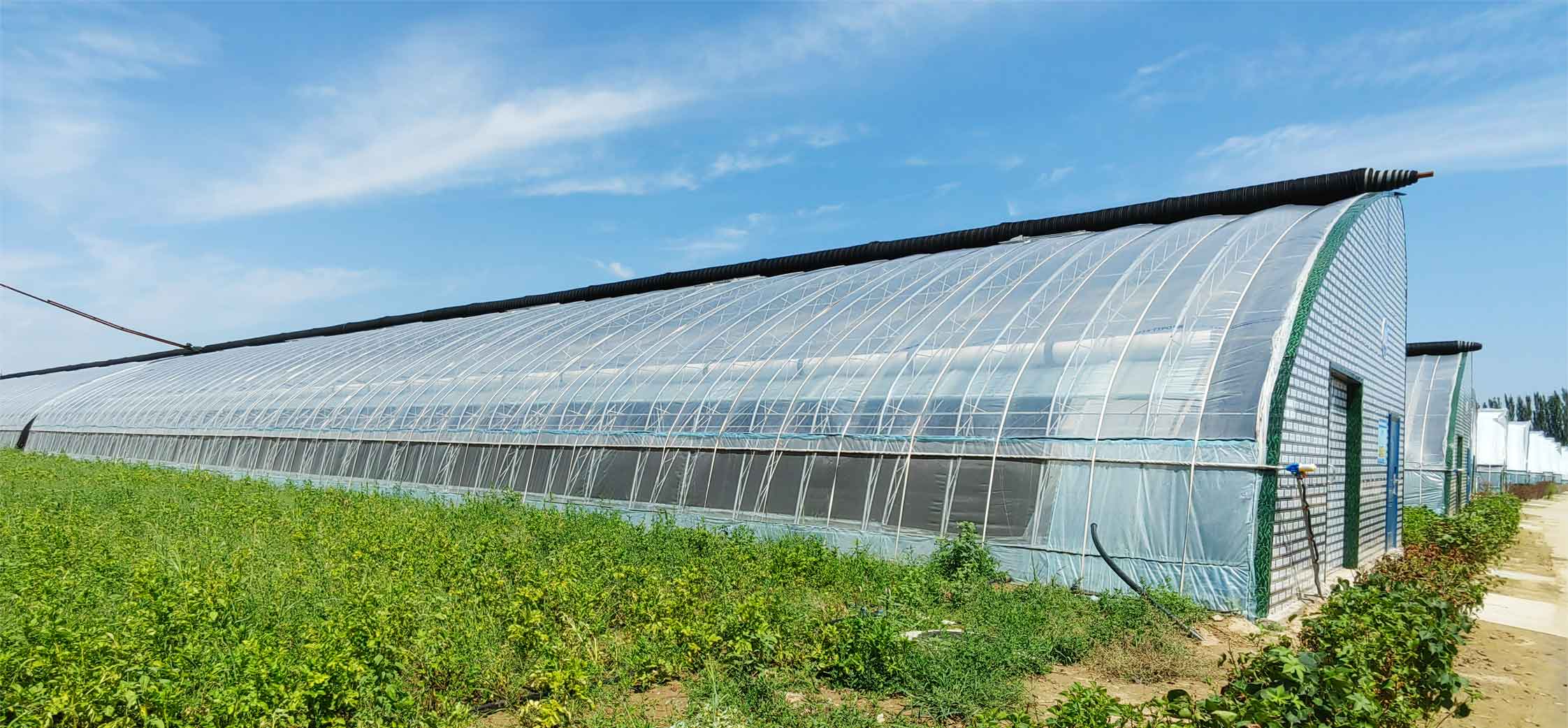 2、冬室夏棚網頁_09.jpg 2、冬室夏棚網頁_09.jpg