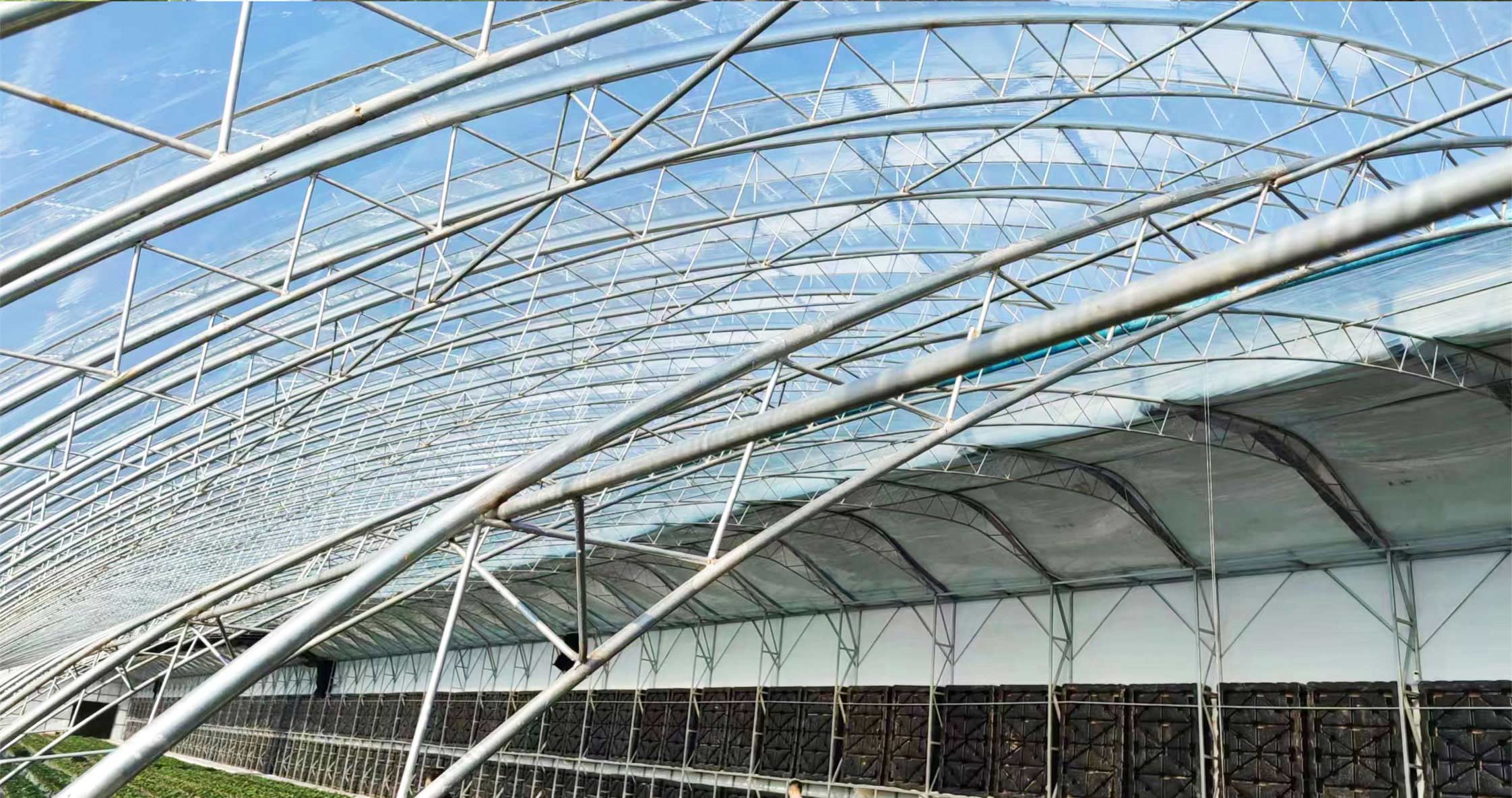 2、冬室夏棚網頁_15切.jpg 2、冬室夏棚網頁_15切.jpg