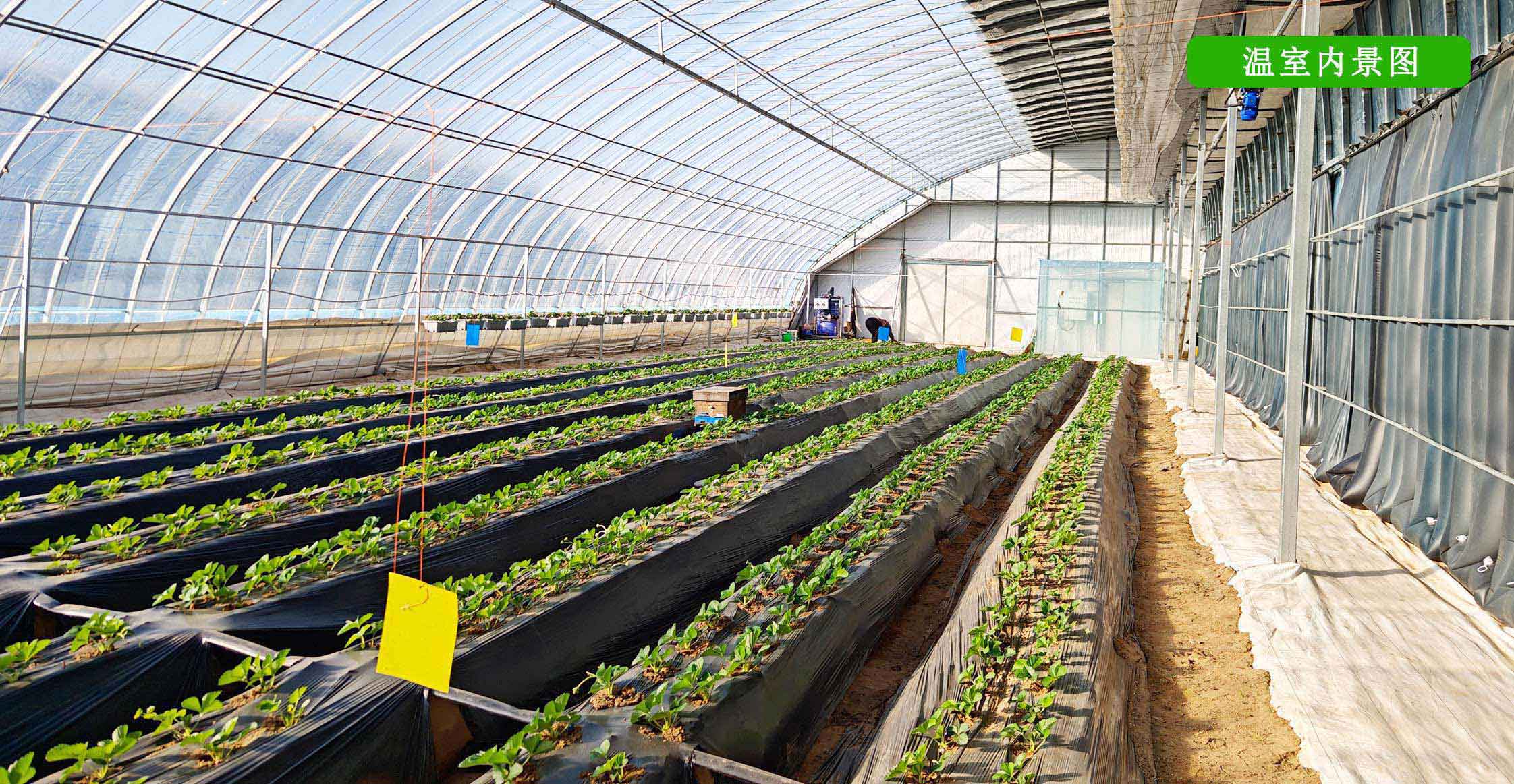 2、全天候四季溫室網頁_12.jpg 2、全天候四季溫室網頁_12.jpg