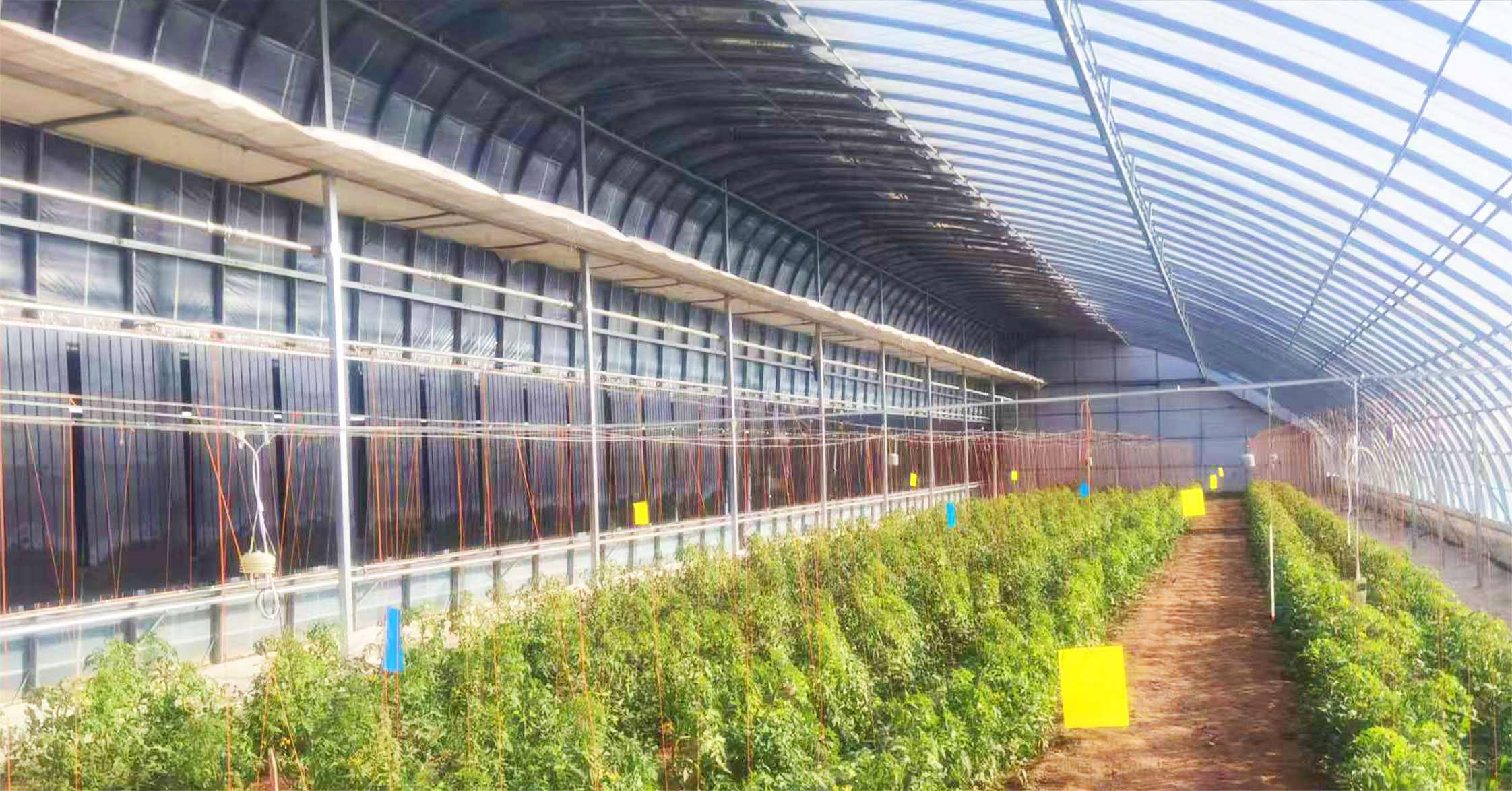 2、全天候四季溫室網頁_15.jpg 2、全天候四季溫室網頁_15.jpg